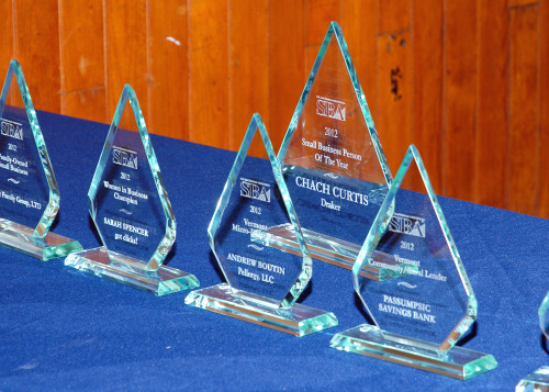 dsc_7329_2012 sba awards trophies_chachcurtis.jpg